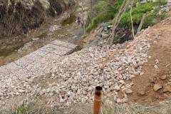 i-diamartyria-gia-to-rema-tis-pikrodafnis-ti-zitoyn-oi-diamartiromenoi-brahaminews-10