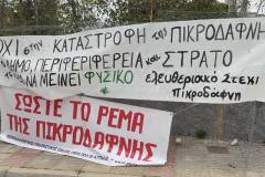 i-diamartyria-gia-to-rema-tis-pikrodafnis-ti-zitoyn-oi-diamartiromenoi-brahaminews-2