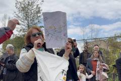 i-diamartyria-gia-to-rema-tis-pikrodafnis-ti-zitoyn-oi-diamartiromenoi-brahaminews-8