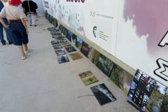 ekthesi-fwtografias-sto-dimo-agioy-dimitrioy-me-them-i-pikrodafni-reei-anamesa-mas-to-reportaz-brahaminews-3