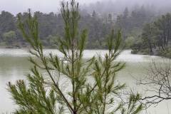 pwtomagia-me-tin-ethelontiki-drston-wrwpo-mia-akomi-ekdromi-sti-limni-mpeletsi-kai-sti-moni-agioy-porfyrioy-brahaminews-42