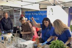 festival-polis-oi-imeres-paradosis-kai-to-paradosiako-glenti-horos-kai-laiki-klironomia-brahaminews.gr-32