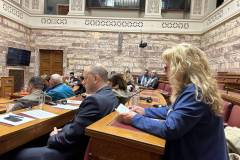 i-aleka-giannopoyloy-ekproswpos-toy-dimoy-agioy-dimitrioy-sti-voyli-omilitria-gia-to-thalassio-perivallon-brahaminews-2