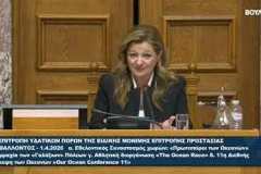 i-aleka-giannopoyloy-ekproswpos-toy-dimoy-agioy-dimitrioy-sti-voyli-omilitria-gia-to-thalassio-perivallon-brahaminews-9