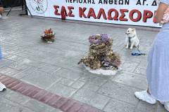 i-anaviwsi-toy-ethimoy-toy-klidona-apo-to-syllogo-anthewn-plimmyrise-apo-kosmo-i-plateia-panagoyli-kefi-horos-moysiki-pantoy-brahaminews-7