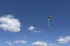 kathara-deytera-sto-parko-asyrmatoy-plithos-kosmoy-stin-paradisiaki-ekdulwsi-gia-ta-koyloyma-brahaminews-35