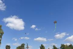 kathara-deytera-sto-parko-asyrmatoy-plithos-kosmoy-stin-paradisiaki-ekdulwsi-gia-ta-koyloyma-brahaminews-36