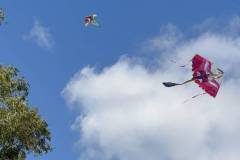 kathara-deytera-sto-parko-asyrmatoy-plithos-kosmoy-stin-paradisiaki-ekdulwsi-gia-ta-koyloyma-brahaminews-38