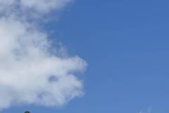 kathara-deytera-sto-parko-asyrmatoy-plithos-kosmoy-stin-paradisiaki-ekdulwsi-gia-ta-koyloyma-brahaminews-39