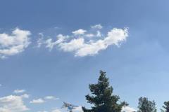 kathara-deytera-sto-parko-asyrmatoy-plithos-kosmoy-stin-paradisiaki-ekdulwsi-gia-ta-koyloyma-brahaminews-27