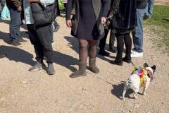 kathara-deytera-sto-parko-asyrmatoy-plithos-kosmoy-stin-paradisiaki-ekdulwsi-gia-ta-koyloyma-brahaminews-13