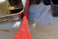 kathara-deytera-sto-parko-asyrmatoy-plithos-kosmoy-stin-paradisiaki-ekdulwsi-gia-ta-koyloyma-brahaminews-30