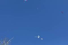 kathara-deytera-sto-parko-asyrmatoy-plithos-kosmoy-stin-paradisiaki-ekdulwsi-gia-ta-koyloyma-brahaminews-36