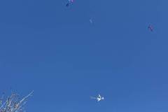 kathara-deytera-sto-parko-asyrmatoy-plithos-kosmoy-stin-paradisiaki-ekdulwsi-gia-ta-koyloyma-brahaminews-37