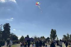 kathara-deytera-sto-parko-asyrmatoy-plithos-kosmoy-stin-paradisiaki-ekdulwsi-gia-ta-koyloyma-brahaminews-2