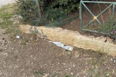 kalo-taxidi-kapetanie-moy-stin-aiwniotita-ragizei-kardies-to-syginitiko-antio-toy-taxiarhoy-halyvopoyloy-ston-gio-toy-brahaminews23-2