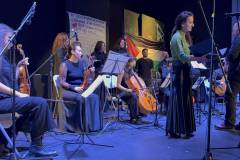 moysiki-ekdilwsi-gia-tin-palaistini-me-vasiki-syndiorganwsi-apo-to-swmateio-ergazomenwn-dimoy-agioy-dimitrioy-brahaminews-1
