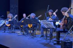 moysiki-ekdilwsi-gia-tin-palaistini-me-vasiki-syndiorganwsi-apo-to-swmateio-ergazomenwn-dimoy-agioy-dimitrioy-brahaminews-6