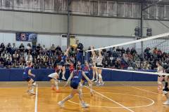 apo-dafnis-agioy-dimitrioy-ekane-to-prwto-vima-gia-tin-kataktisi-toy-prwtathlimatos-nikise-me-3-2-set-ton-foivo-brahaminews-15