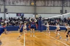 apo-dafnis-agioy-dimitrioy-ekane-to-prwto-vima-gia-tin-kataktisi-toy-prwtathlimatos-nikise-me-3-2-set-ton-foivo-brahaminews-3