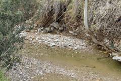 i-epomeni-mera-tis-katarraktwdoys-vrohis-ston-Agio-Dimitrio-ta-simadia-twn-fysikwn-fainomenwn-brahaminews-11