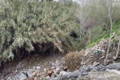 i-epomeni-mera-tis-katarraktwdoys-vrohis-ston-Agio-Dimitrio-ta-simadia-twn-fysikwn-fainomenwn-brahaminews-13