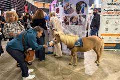 ethelontiki-drasi-agioy-dimitrioy-dynamiki-paroysia-sto-prwto-festival-ethelontismoy-tis-perifereias-attikis-brahaminews-7