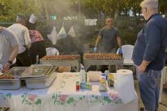 i-prwtomagiatiki-giorti-twn-anthewn-stin-plateia-panagoyli-oi-ekdilwseis-brahaminews-26