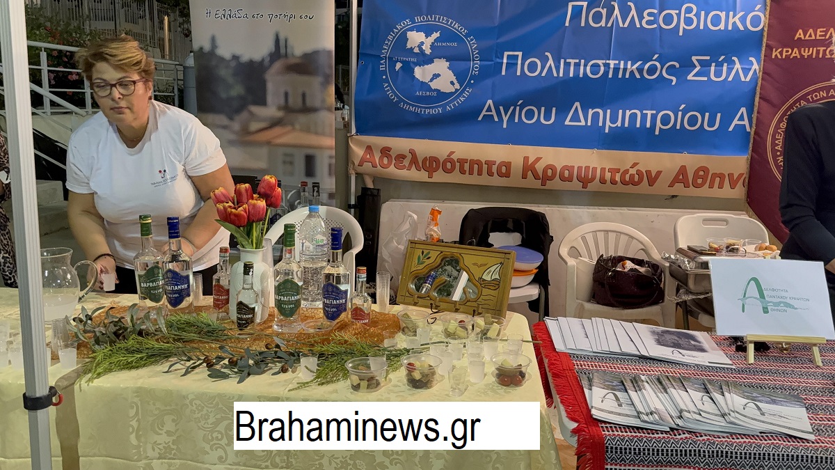to-diimero-tis-ellinikis-paradosis-apogeiwse-to-festival-polis-2025-me-ti-symmetohi-ethnotopikwn-kai-politistikwn-syllogwn-brahaminews.gr11.jpg 