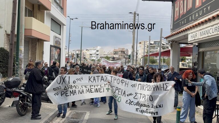 i-diamartyria-gia-to-rema-tis-pikrodafnis-ti-zitoyn-oi-diamartiromenoi-brahaminews-24.jpg