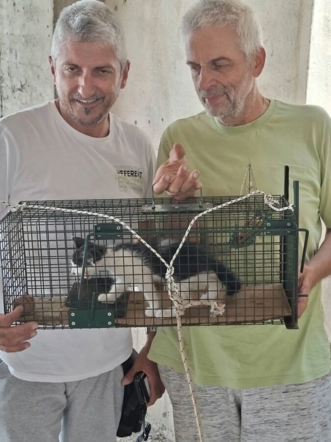 garef-kai-mamatzis-eswsan-gataki-to-anesyran-apo-fwtagwgo-to-reportaz-brahaminews.gr_.jpg